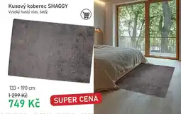 Vesna Kusový koberec SHAGGY nabídka