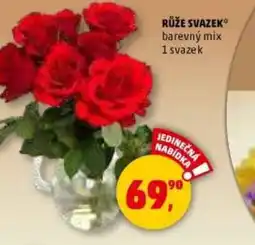Penny Market Růže svazek nabídka