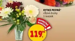 Penny Market Kytice pestrá nabídka