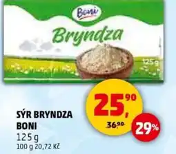 Penny Market Sýr bryndza boni nabídka