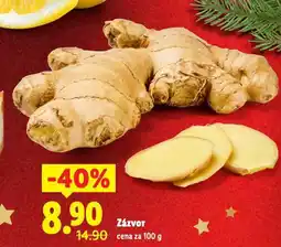 Lidl Zázvor nabídka