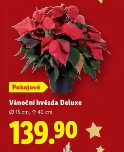 Lidl Vánoční hvězda Deluxe nabídka