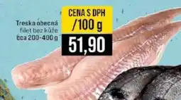 Jip Treska obecná nabídka