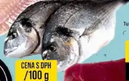 Jip Pražma královská cela, kuchanȧ nabídka