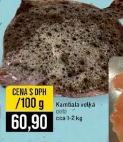 Jip Kambala velká nabídka