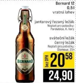 Jip Bernard 12 nabídka