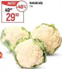 Globus Květák bílý nabídka