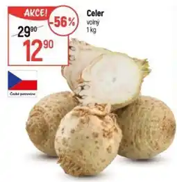 Globus Celer nabídka