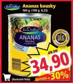 Norma Ananas kousky nabídka