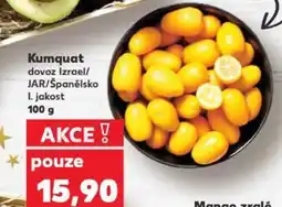 Kaufland Kumquat dovoz Izrael/ JAR/Španělsko I. jakost nabídka