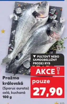 Kaufland Pražma královská nabídka