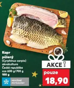 Kaufland Kapr půlený nabídka