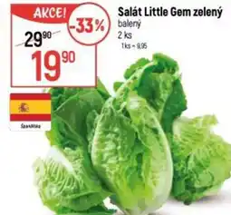 Globus Salát Little Gem zelený nabídka