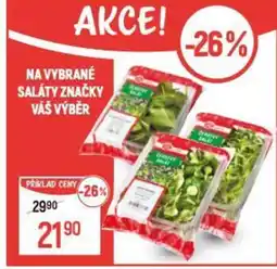 Globus Na vybrané saláty značky váš výběr nabídka
