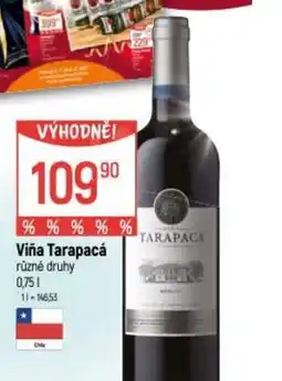 Globus Viña Tarapacá nabídka