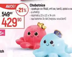 Globus Chobotnice nabídka