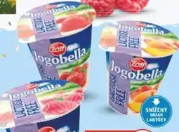 Globus Zott Jogobella bez laktózy nabídka