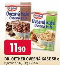 Trefa DR. OETKER OVESNÁ KAŠE 58 g nabídka