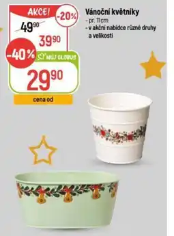 Globus Vánoční květníky nabídka