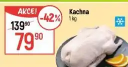 Globus Kachna nabídka