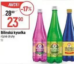 Globus Bílinská kyselka nabídka