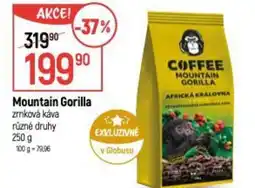 Globus Mountain Gorilla zmková káva nabídka