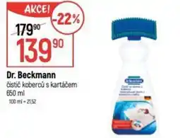 Globus Dr. Beckmann čistič koberců s kartáčem nabídka