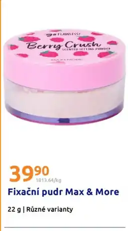 Action Fixační pudr Max & More nabídka