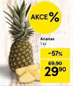 Tesco Ananas nabídka