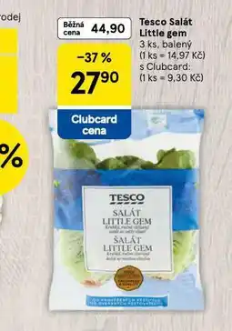 Tesco Salát little gem nabídka
