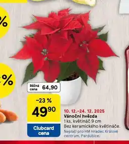 Tesco Vánoční hvězda nabídka