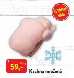 MP Krásno Kachna mražená nabídka