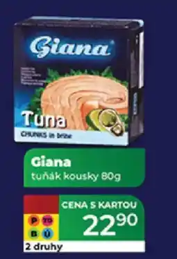 Tamda Foods Giana tuňák kousky nabídka