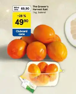 Tesco Kaki nabídka