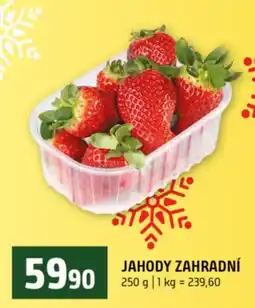 Terno Jahody zahradní nabídka