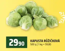 Terno Kapusta růžičková nabídka