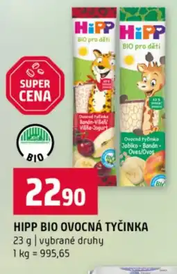 Terno Hipp bio ovocná tyčinka nabídka