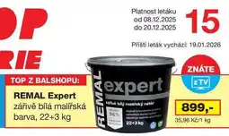 Ráj drogerie REMAL Expert 22+3 kg nabídka