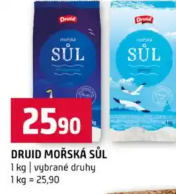 Terno Druid mořská sůl nabídka