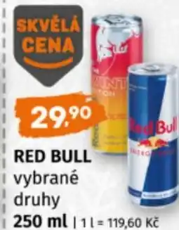Terno Red bull nabídka