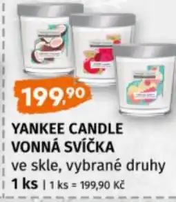 Terno Yankee candle vonná svíčka nabídka