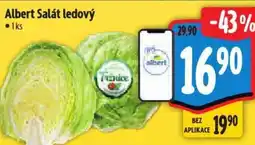 Albert Albert Salát ledový nabídka