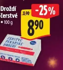 Albert Droždí čerstvé nabídka