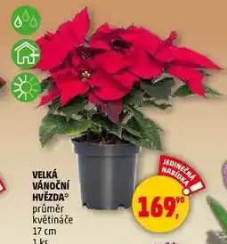 Penny Market VELKÁ VÁNOČNÍ HVĚZDA, 1 ks nabídka