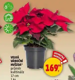 Penny Market VELKÁ VÁNOČNÍ HVĚZDA, 1 ks nabídka