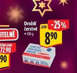 Albert Droždí čerstvé 100 g nabídka