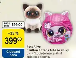 Tesco Pets Alive Smitten Kittens Kotě se zvuky uvnitř koule je interaktivní koťátko s doplňky nabídka