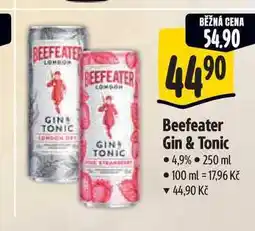 Albert Beefeater Gin & Tonic 250 ml nabídka