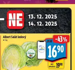 Albert Albert Salát ledový 1 ks nabídka