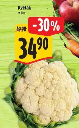 Albert Květák nabídka